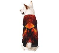 fire Phoenix Pet Clothes for Dogs - Soft and Warm Dog Hoodie Sweater, Suitable for Small and Medium-Sized Dogs and Cats,Black