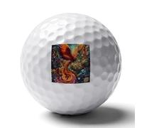 Fire Phoenix Treasure Jewelry Personalized Golf Balls Gifts for Men Golfers Distance Straighter Shots