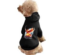Fire Phoenixes Volcanoes Eruption Dog Hoodie Shirts Pet Clothes for Small Puppy Cat Costume 2XL