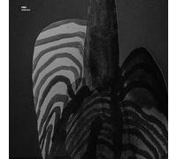 Fire! - Testament [VINYL]