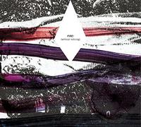 Fire - Without Noticing [VINYL]