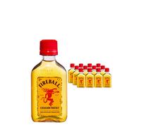 Fireball Cinnamon Liqueur 10 x 5cl Case