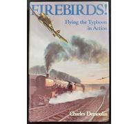 Firebirds: Flying the Typhoon in Action