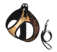 Firefighters fighting fires Print Cute Pet Leash Vest Small Dog Harness Vest, Breathable Reflective Puppy & Cat Harness, Adjustable No Pull Pet Walking Set