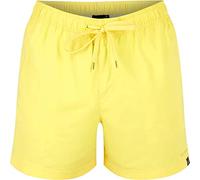 FIREFLY Firefly Ken I Swim Shorts Men's Recreational - Yellow Light, L