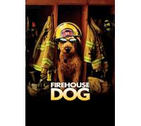Firehouse Dog