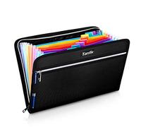 Fireproof Safe Waterproof Accordion File Bag Folder Expanding Filing Folder with 14 Multicolored Pockets, A4 Letter Size, Document Organizer Holder and Color Labels /2 Zipper (Black 14.3" x 9.8")