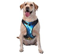 Fires and People Under Dark Clouds Dog Harness for Small, Medium, and Large Dogs – Reflective Straps, Adjustable Fit with Quick-Release Buckles