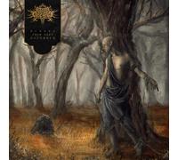 Fires in the Distance - Echoes From Deep November [VINYL]