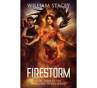 Firestorm: An Urban Fantasy Military Adventure: 3 (The Awakened World)