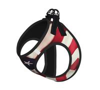 Firework American Flag 4Th of July Print Step in Dog Harness and Leash Set,Mesh Pet Vest Harness for Small Dogs and Cats