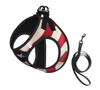 Firework American Flag 4Th of July Print Step in Dog Harness and Leash Set,Mesh Pet Vest Harness for Small Dogs and Cats