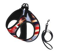 Firework American Flag 4th Of Julys Print Pet Leash Vest,Breathable Mesh Pet Harness, Reflective For Small Medium Dogs Safe Easy Walking