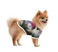 Fireworks Inside The Arch Cute Dog and Cat T-Shirt - Soft and Breathable Pet Apparel for Small to Large Dogs and Cats