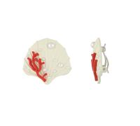 Firopia Ocean Earrings for Women | Starfish Earrings | Seashell Earrings | Ear Cuffs Clip-On Earrings Non Piercing for Women|Summer Beach Ocean Jewelry for Women, Non piercing, Metal, Rhinestone