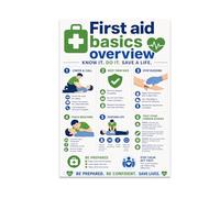 First Aid Basics Poster - Emergency Response Steps - 13x19