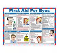First Aid For Eyes Laminated Guidance Poster A2 - A602