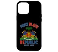 First Black Republic Since 1804 Haiti Haitian Flag Case for iPhone 12 Pro Max