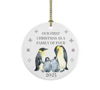 First Christmas as a Family - Tree Decoration Ornament Bauble Growing Family Keepsake - New Baby Gift - Family Christmas Décor - Ceramic Holiday Ornament (2025, Family of Four)