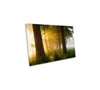 First Day or Summer Sunlight Landscape Canvas Wall Art Picture Print CanvasGeeks Yellow W18 inch x H12 inch x D20mm