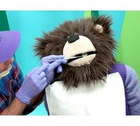 First Dentist Visit