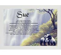First Name Meanings Print - Pandas Design White Frame