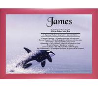 First Name Meanings Print - Whale Design Pink Frame