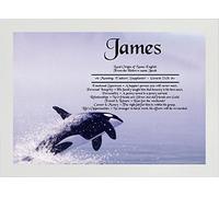 First Name Meanings Print - Whale Design White Frame