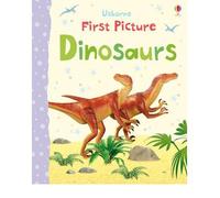 [First Picture Dinosaurs] [by: Felicity Brooks]