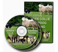 First Steps In Border Collie Sheepdog Training [DVD]