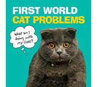 First World Cat Problems: What am I doing with my lives?