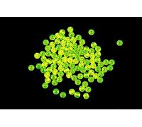 First4Fishing Genie - 3mm Rig Beads Chartreuse