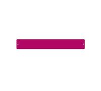 FIRST4MAGNETS Small Rectangular Board/Strip c/w 6 Magnets-Raspberry (350 x 50mm), Metal, Silver, 40 x 20 x 5 cm
