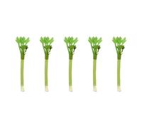 FIRSTXIU Natural Cats Chew Toy Teeth Cleaning Silvervine Stick Matatabi Treat Plaything Dentals Care Bored Kitten Natural Matatabi Chew