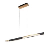 FISCHER & HONSEL LED hanging light Bridge Remote control dimmable CCT black