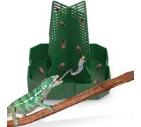 Fischuel Chameleon Feeding Bowl for Reptile Terrarium, Climbable Design for Reptile to Hunt, Suitable for Feeding Lizards, Bearded Dragons, Geckos, Guardians, Frogs, Green, Large