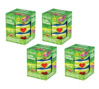 Fish 4 Ever | Azores Skipjack Tuna Steaks In Organic Olive Oil - Sustainably Fished. Tin Canned Food Rich In Omega-3, Great For Making Sandwich Spread Or Hot And Cold Snacks | 160g (Pack of 12)