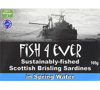 Fish 4 Ever Brisling Sardines in Spring Water 105 g (Pack of 6)