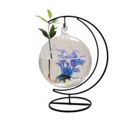 Fish Aquarium Desktop Decorative Fish Tank Hanging Clear Glass Round with Black Metal Bent Frame Base