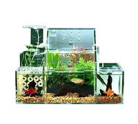 Fish Aquarium Ecological Fish Tank Desktop Breeding Hatching Special Isolation Box Circulating Water Filtration Pump Home Office Decoration