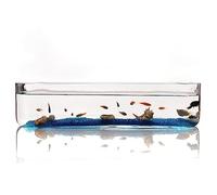 Fish Aquarium Fish Tank Small Glass Rectangular Aquarium Ecological Transparent Living Room Office Desktop Decoration(Small)