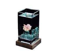 Fish Aquarium Fish Tank Square High Translucent Fighting with Wooden Base Tropical Thickened Glass Desktop Small(Blue)