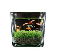 Fish Aquarium Fish Tank Thickened Glass Transparent Water Plant Seeds Micro Landscape Ornaments Home Desktop Mud Ecological(Medium)