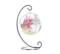 Fish Aquarium Hanging Transparent Fighting Fish Aquarium Desktop Small Goldfish Tank Glass(Black,Medium)