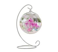 Fish Aquarium Hanging Transparent Fighting Fish Aquarium Desktop Small Goldfish Tank Glass(White,Large)