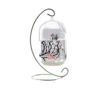 Fish Aquarium Small Fish Tank Hanging Design Lovely Glass Metal Frame Desktop Decorative Tanks(White,Large)