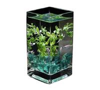 Fish Aquarium Square High Translucent Glass Fish Tank with Lid Hydroponic Vase Flower Vessel Desktop Small(12x12x25cm)