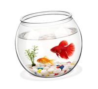 Fish Bowl Globe Shaped Pet Desktop Ornament for Home Decor | Design, Unbreakable Build, Tabletop Display, Micro Landscape Container for Desk and Bookshelf Use