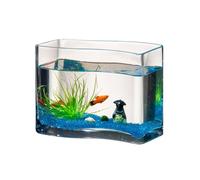 fish bowl S-shaped Transparent Glass Goldfish Aquarium Tropical Fish Small Desktop Mini Aquarium Turtle Tank Living Room Aquariums Living Room