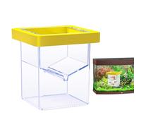 Fish Breeder Isolation Box - Floating Aquarium Hatchery Container, Suction Cup Breeding Tank, Transparent Fry Incubator Chamber | Safe Controlled Environment Design For Guppy Shrimp Fry Acclimation